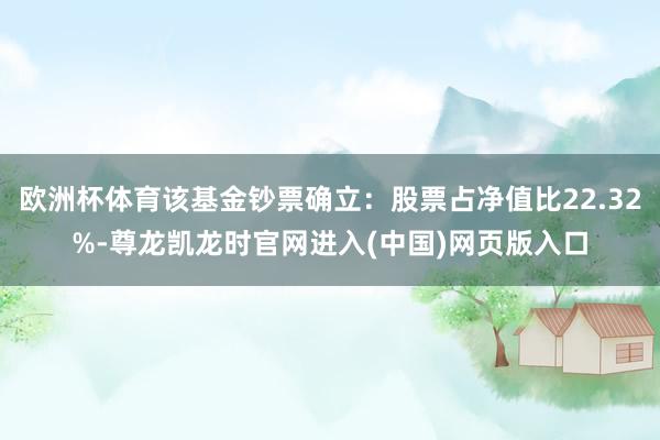 欧洲杯体育该基金钞票确立：股票占净值比22.32%-尊龙凯龙时官网进入(中国)网页版入口
