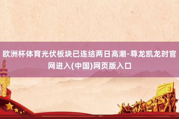 欧洲杯体育光伏板块已连结两日高潮-尊龙凯龙时官网进入(中国)网页版入口