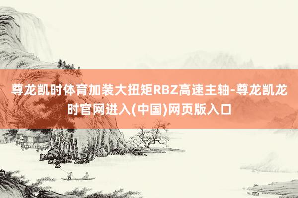 尊龙凯时体育加装大扭矩RBZ高速主轴-尊龙凯龙时官网进入(中国)网页版入口