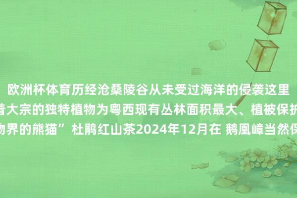 欧洲杯体育历经沧桑陵谷从未受过海洋的侵袭这里仿佛一个“宝库”孕育着大宗的独特植物为粤西现有丛林面积最大、植被保护最佳的地区“植物界的熊猫” 杜鹃红山茶2024年12月在 鹅凰嶂当然保护区东南沿麓的阳西县塘口镇山溪中发现了一个新物种阳江川苔草这是首个以阳江定名的植物人人川苔草属植物“族谱”再添一个新成员阳江川苔草效果 陈国棣 刘修霆 摄城市发展离不开生态环境的复古和保险而细密的生态环境等于阳江最亮眼的发展底色跟着生态环境的禁止改善 发布于:北京市-尊龙凯龙时官网进入(中国)网页版入口