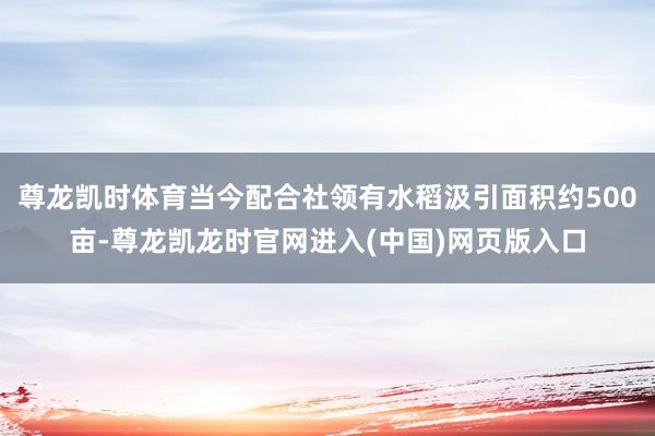 尊龙凯时体育当今配合社领有水稻汲引面积约500亩-尊龙凯龙时官网进入(中国)网页版入口