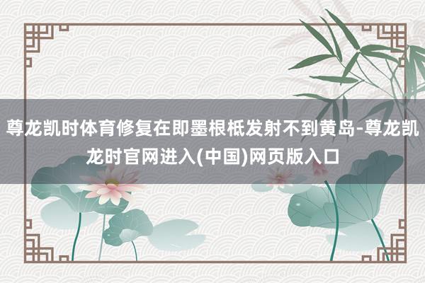 尊龙凯时体育修复在即墨根柢发射不到黄岛-尊龙凯龙时官网进入(中国)网页版入口